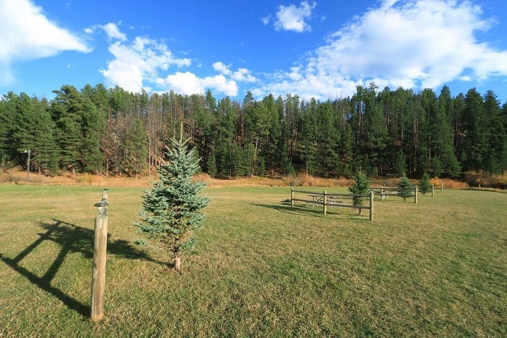 היל סיטי Black Elk Resort חדר תמונה